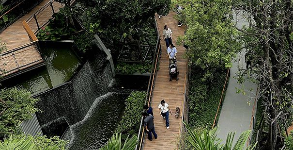 デュシット・レジデンスのガーデン